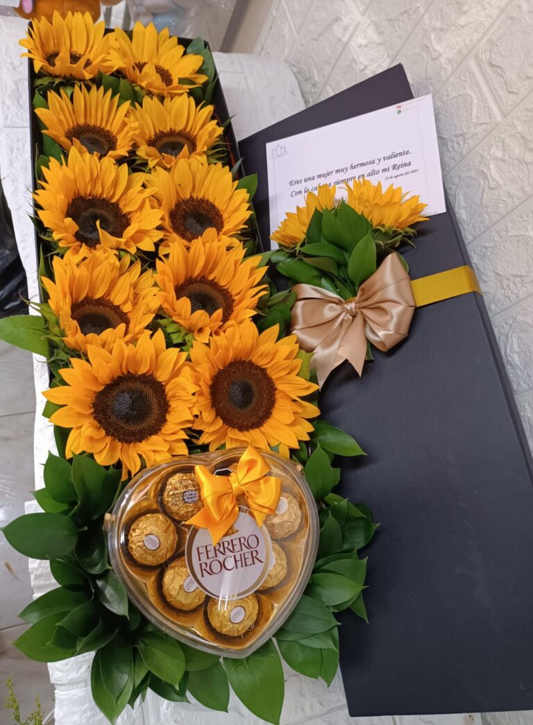 Imagen de WhatsApp 2025-10-27 a las 13.04