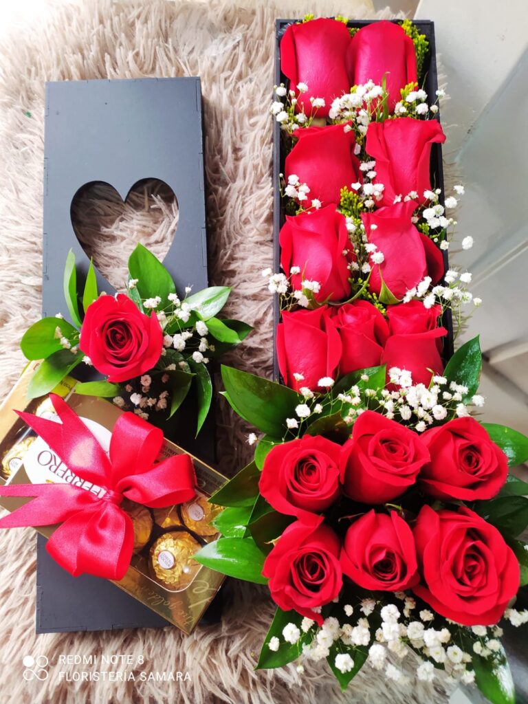 Imagen-de-WhatsApp-2024-06-24-a-las-18.55