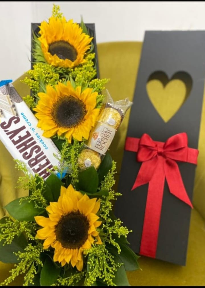 WhatsApp Image 2026-01-06 at 11.13