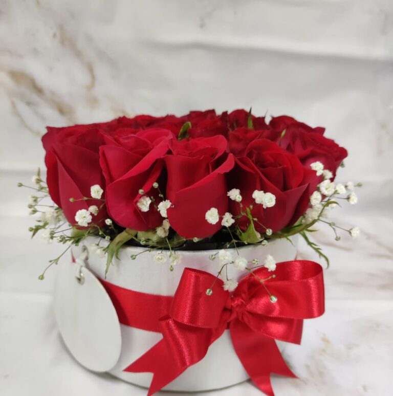 WhatsApp Image 2025-10-15 at 6.42